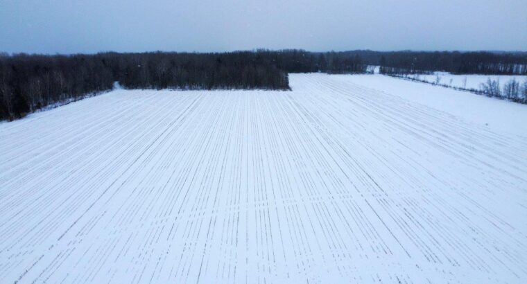 Fortierville :Terre à bois 180 acr chalet