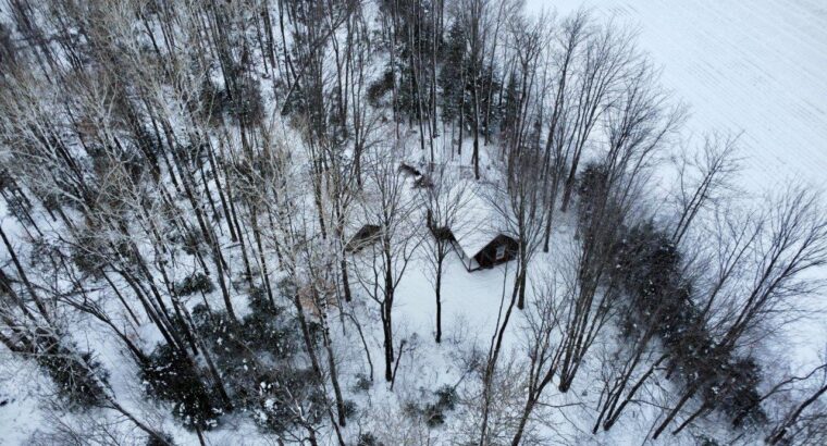 Fortierville :Terre à bois 180 acr chalet