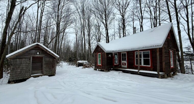 Fortierville :Terre à bois 180 acr chalet