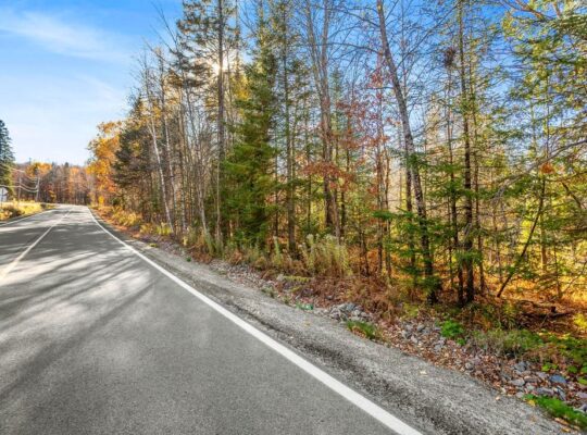 Wentworth-Nord (Laurentides) :Terre pour la chasse