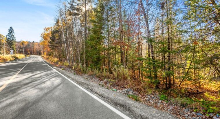 Wentworth-Nord (Laurentides) :Terre pour la chasse