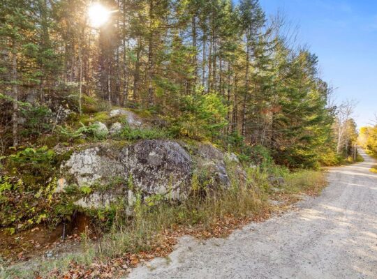 Wentworth-Nord (Laurentides) :Terre pour la chasse