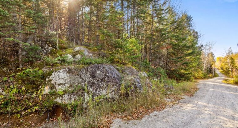 Wentworth-Nord (Laurentides) :Terre pour la chasse