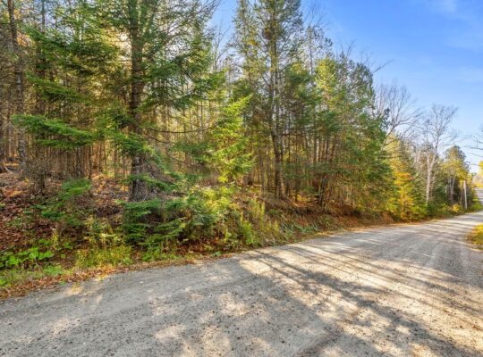 Wentworth-Nord (Laurentides) :Terre pour la chasse