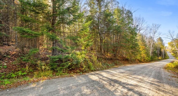 Wentworth-Nord (Laurentides) :Terre pour la chasse
