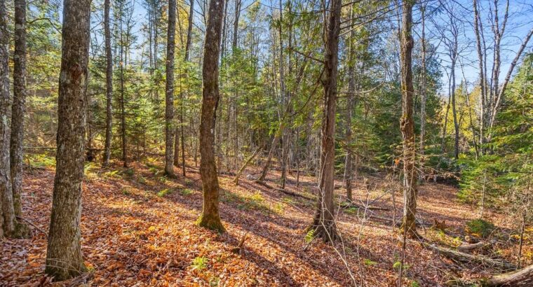 Wentworth-Nord (Laurentides) :Terre pour la chasse