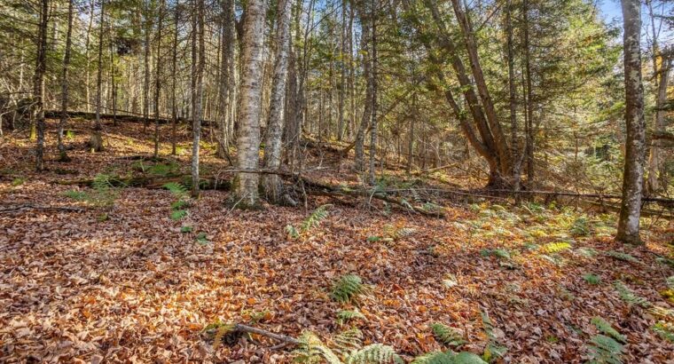 Wentworth-Nord (Laurentides) :Terre pour la chasse