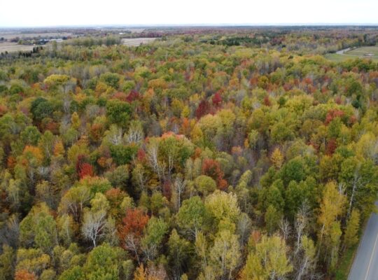 Trois-Rivières (Mauricie) : Terre à bois 48 acres