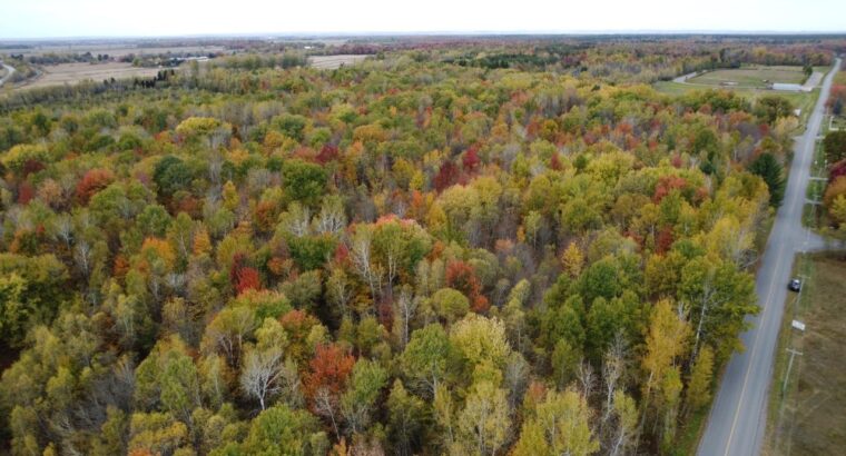 Trois-Rivières (Mauricie) : Terre à bois 48 acres