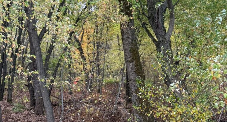 Trois-Rivières (Mauricie) : Terre à bois 48 acres