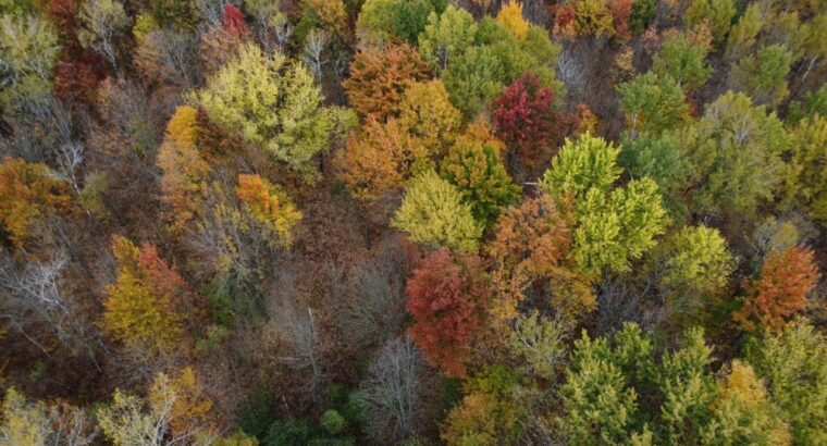 Trois-Rivières (Mauricie) : Terre à bois 48 acres