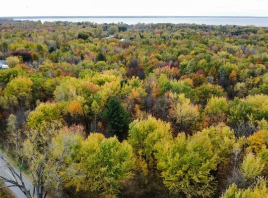 Trois-Rivières (Mauricie) : Terre à bois 48 acres