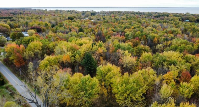 Trois-Rivières (Mauricie) : Terre à bois 48 acres