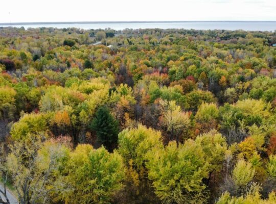 Trois-Rivières (Mauricie) : Terre à bois 48 acres