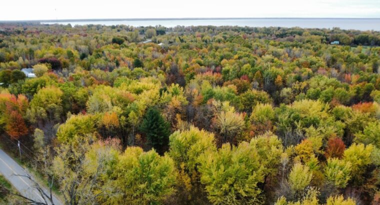 Trois-Rivières (Mauricie) : Terre à bois 48 acres