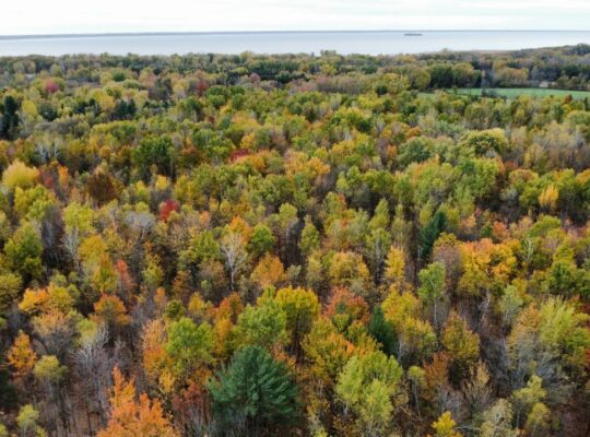 Trois-Rivières (Mauricie) : Terre à bois 48 acres