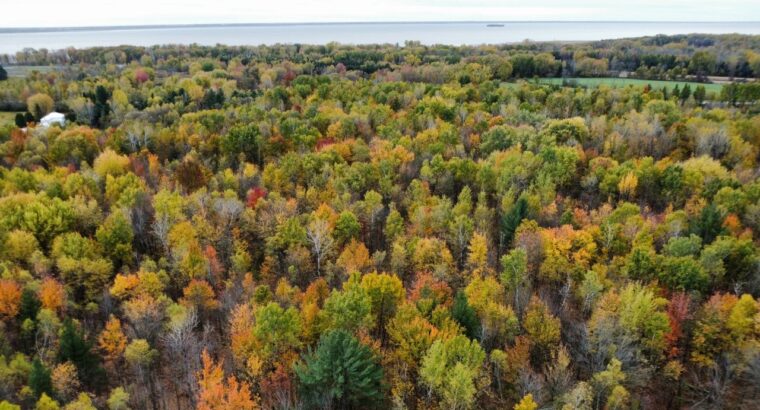 Trois-Rivières (Mauricie) : Terre à bois 48 acres