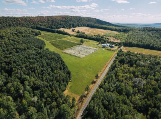 Danville, Estrie – vignoble à vendre 68 acres