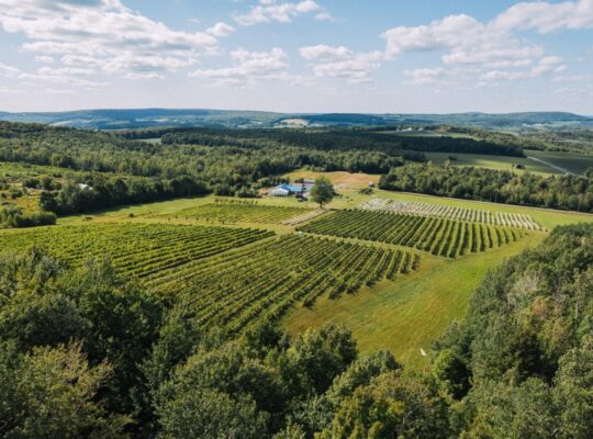 Danville, Estrie – vignoble à vendre 68 acres