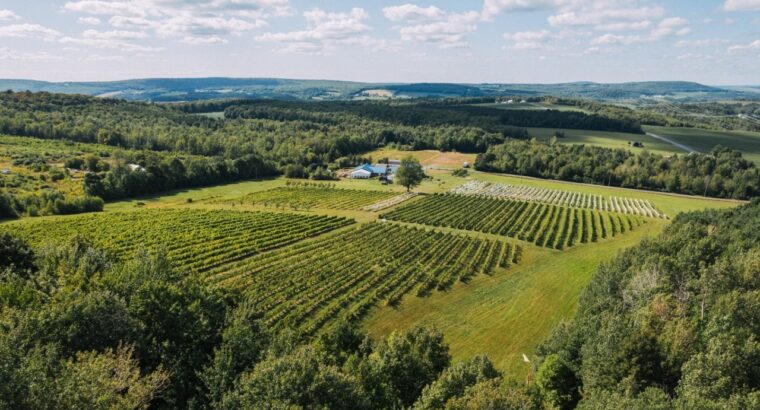 Danville, Estrie – vignoble à vendre 68 acres