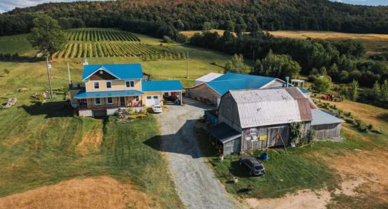 Danville, Estrie – vignoble à vendre 68 acres