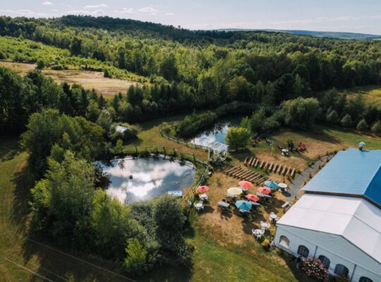 Danville, Estrie – vignoble à vendre 68 acres
