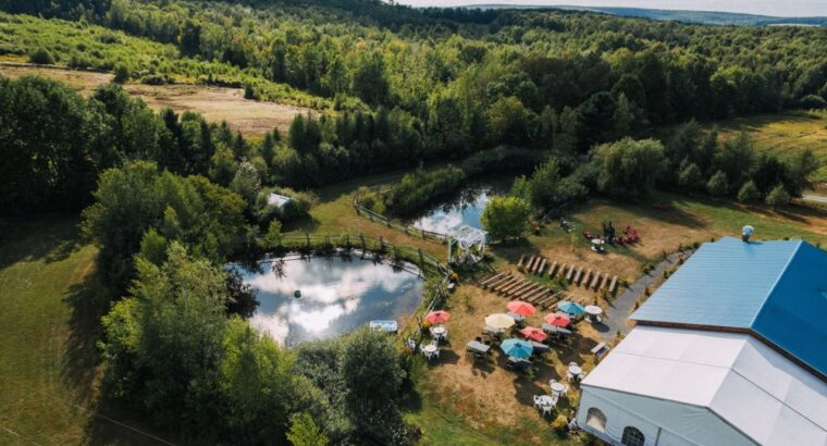 Danville, Estrie – vignoble à vendre 68 acres