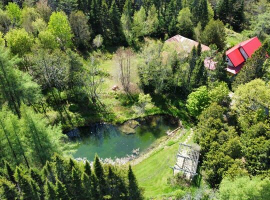 St-Ferdinand (Ctre Qc) Maison 4 chambres + terre