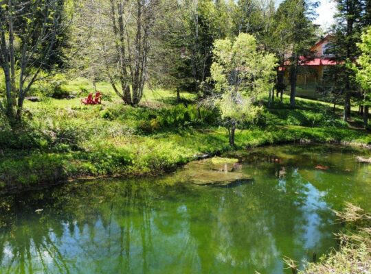 St-Ferdinand (Ctre Qc) Maison 4 chambres + terre