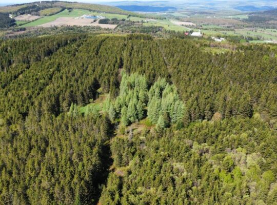 St-Ferdinand (Ctre Qc) Maison 4 chambres + terre