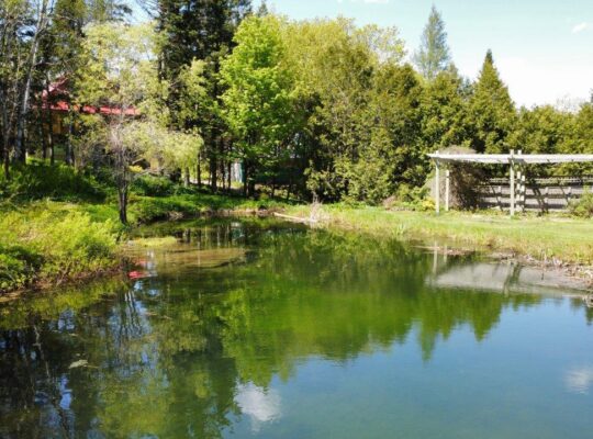 St-Ferdinand (Ctre Qc) Maison 4 chambres + terre