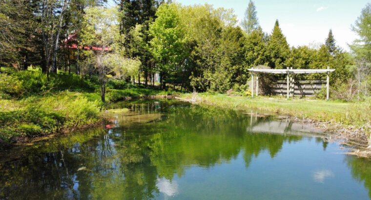 St-Ferdinand (Ctre Qc) Maison 4 chambres + terre