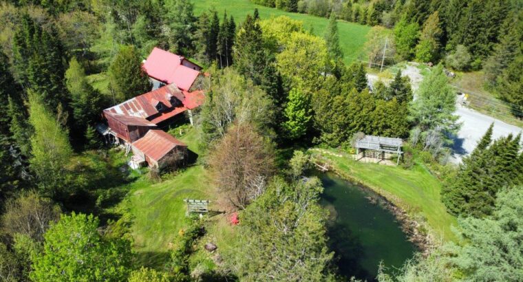 St-Ferdinand (Ctre Qc) Maison 4 chambres + terre