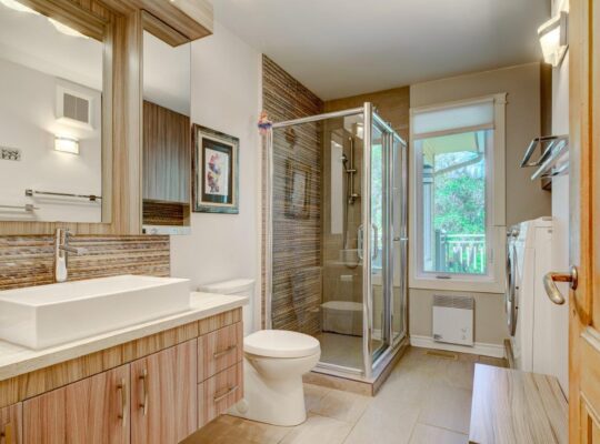 St-Ferdinand (Ctre Qc) Maison 4 chambres + terre