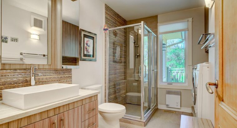 St-Ferdinand (Ctre Qc) Maison 4 chambres + terre