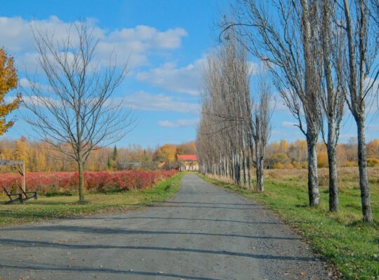 Hatley Domaine 30 acres, maison et bâtiments