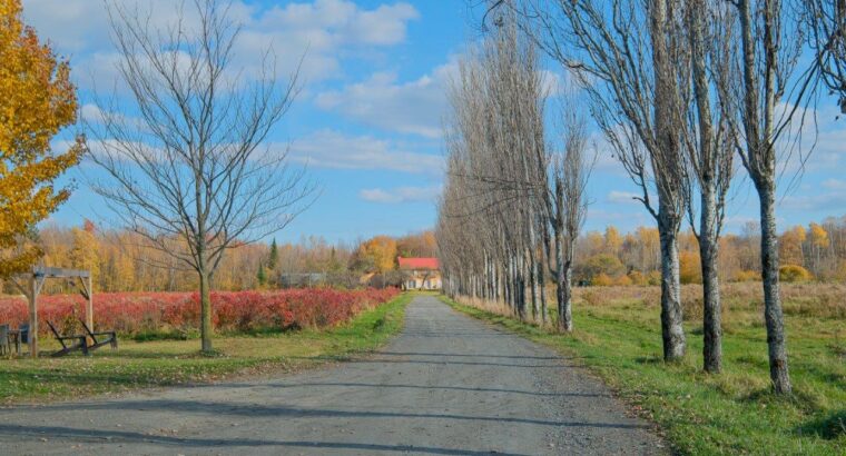 Hatley Domaine 30 acres, maison et bâtiments