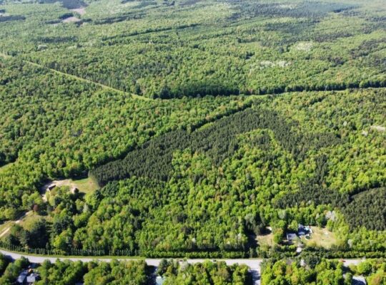 St-Lucien, terre à bois de 19 acres droits constr.