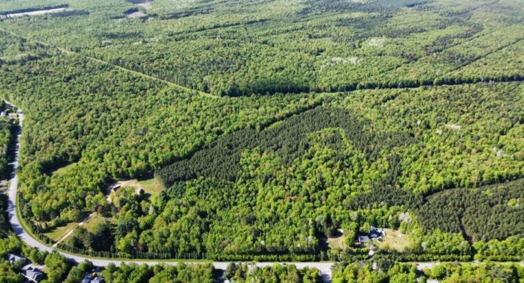 St-Lucien, terre à bois de 19 acres droits constr.