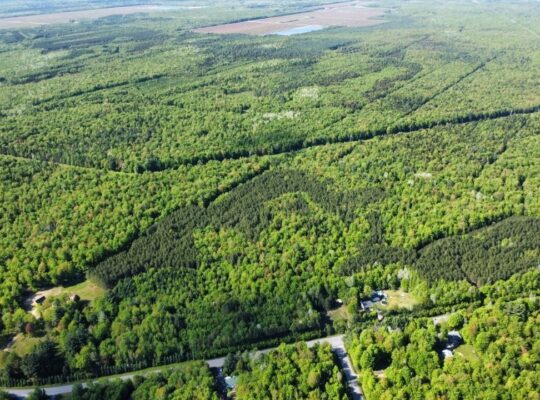 St-Lucien, terre à bois de 19 acres droits constr.