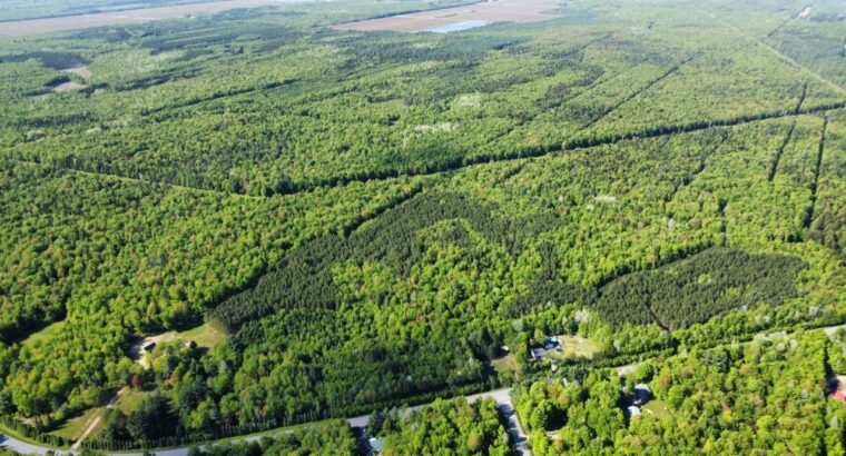 St-Lucien, terre à bois de 19 acres droits constr.