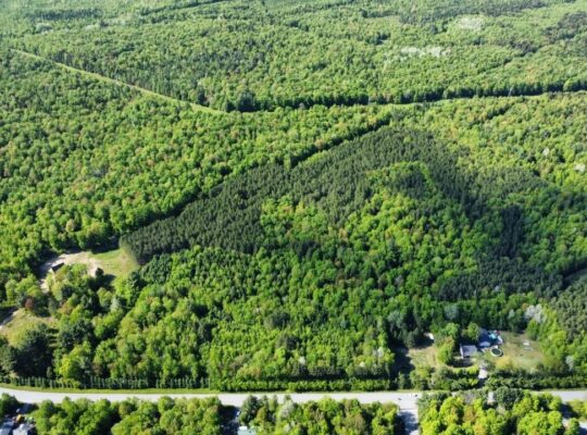 St-Lucien, terre à bois de 19 acres droits constr.