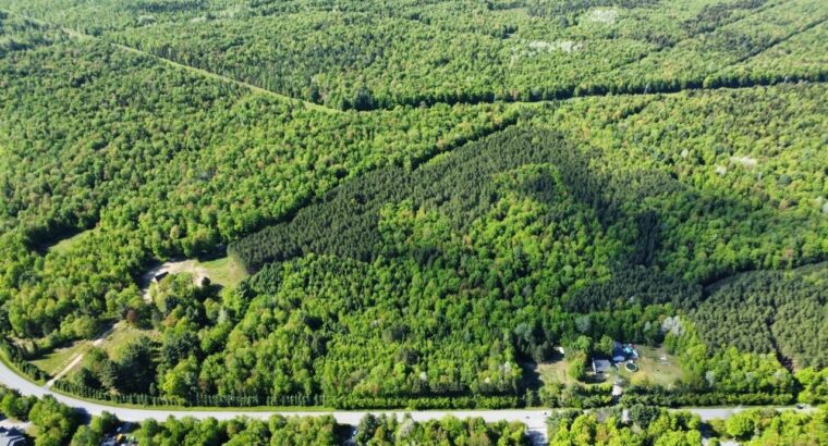 St-Lucien, terre à bois de 19 acres droits constr.