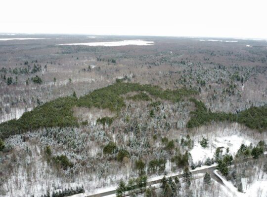 St-Lucien, terre à bois de 19 acres droits constr.