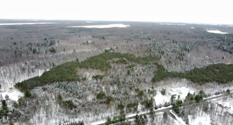 St-Lucien, terre à bois de 19 acres droits constr.