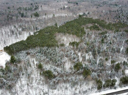 St-Lucien, terre à bois de 19 acres droits constr.