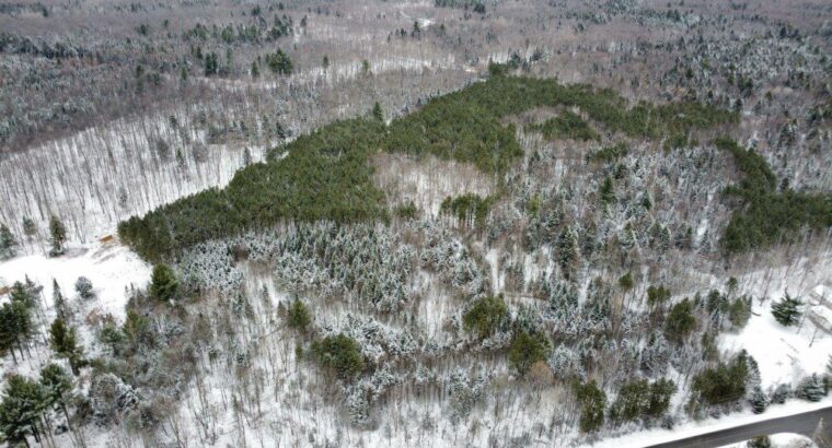 St-Lucien, terre à bois de 19 acres droits constr.