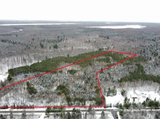 St-Lucien, terre à bois de 19 acres droits constr.