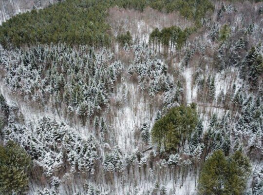 St-Lucien, terre à bois de 19 acres droits constr.