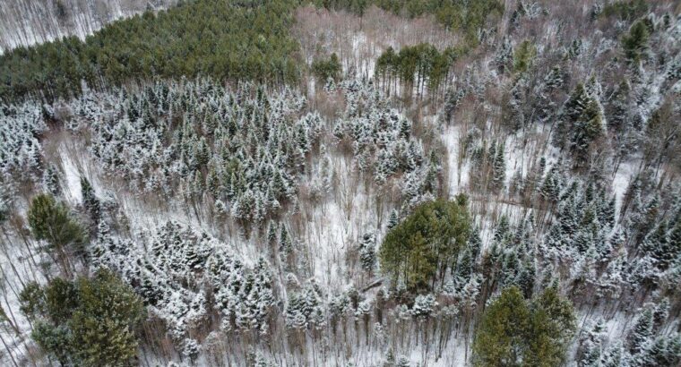 St-Lucien, terre à bois de 19 acres droits constr.